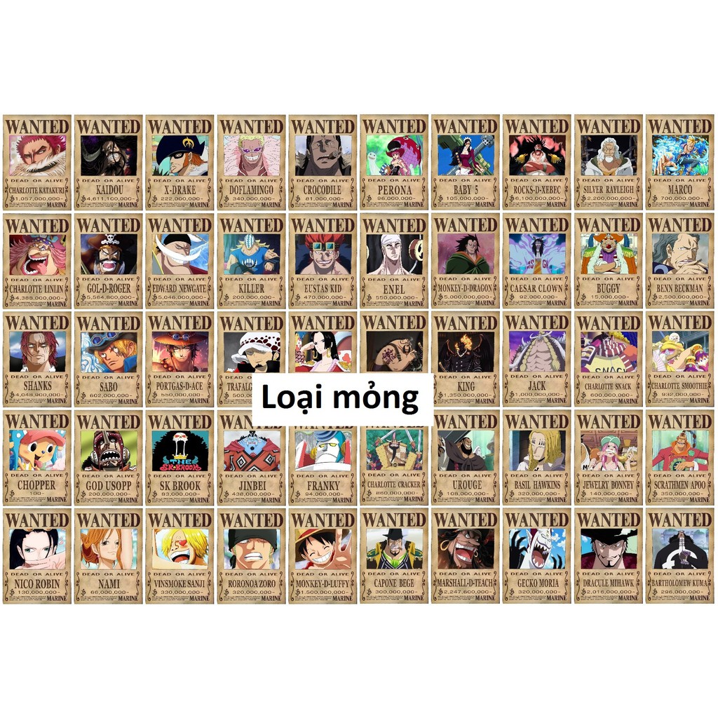 Combo 50 tấm truy nã Onepiece wanted poster loại mỏng