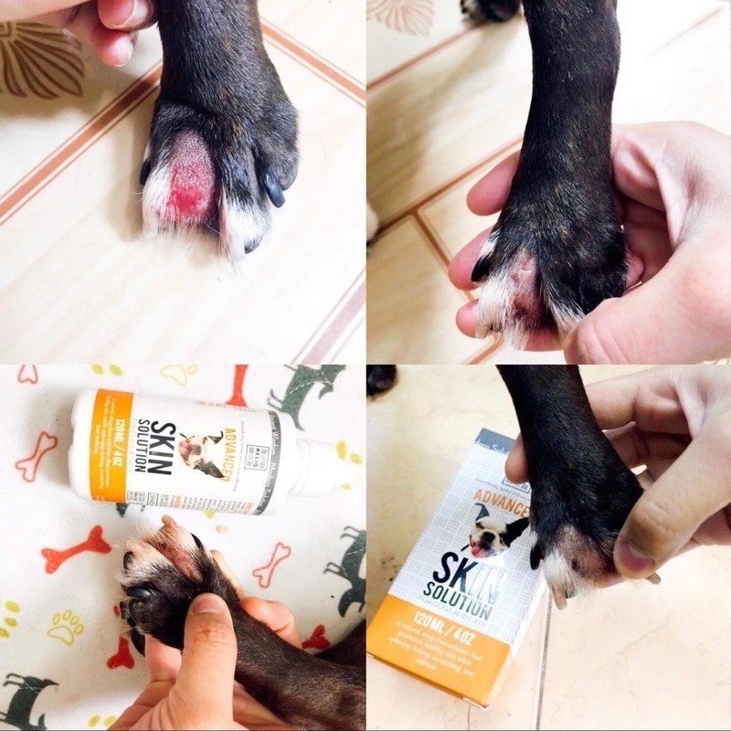 Dung dịch trị viêm da cho chó mèo ống 5ml Skin Solution