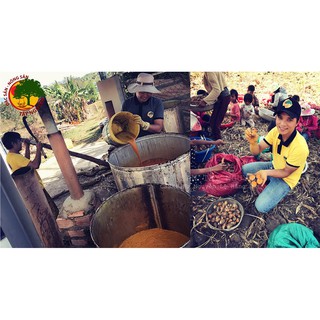 TINH DẦU TRỊ RẠN THÂM