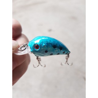 Combo bộ mồi câu lure _BM_02