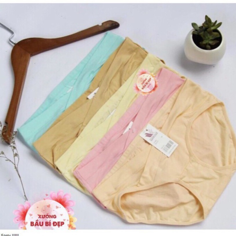 SET 10 Quần lót bầu cạp chéo nâng bụng cotton thấm hút mồ hôi (sỉ)