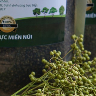 Hạt mắc khén rừng  (Gia vị đặc sản)