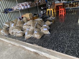 Cà gai leo chữa bệnh gan