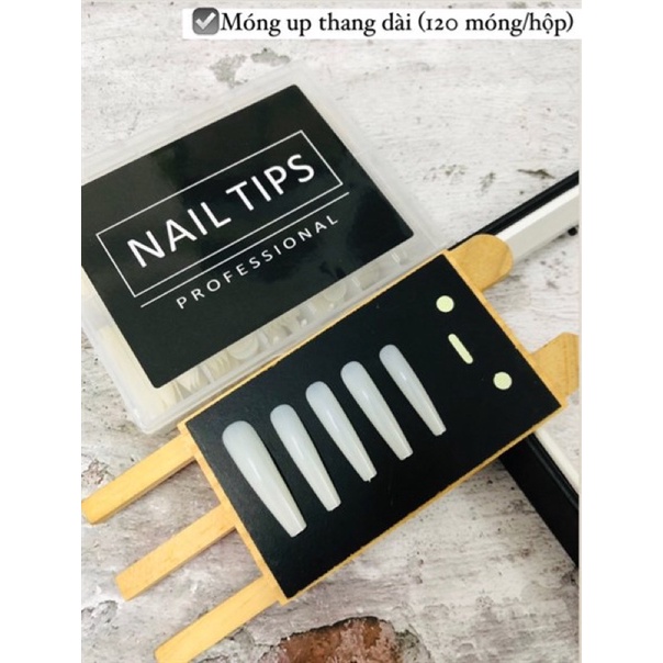 Móng up Nail tips Thang dài 120m/ hộp