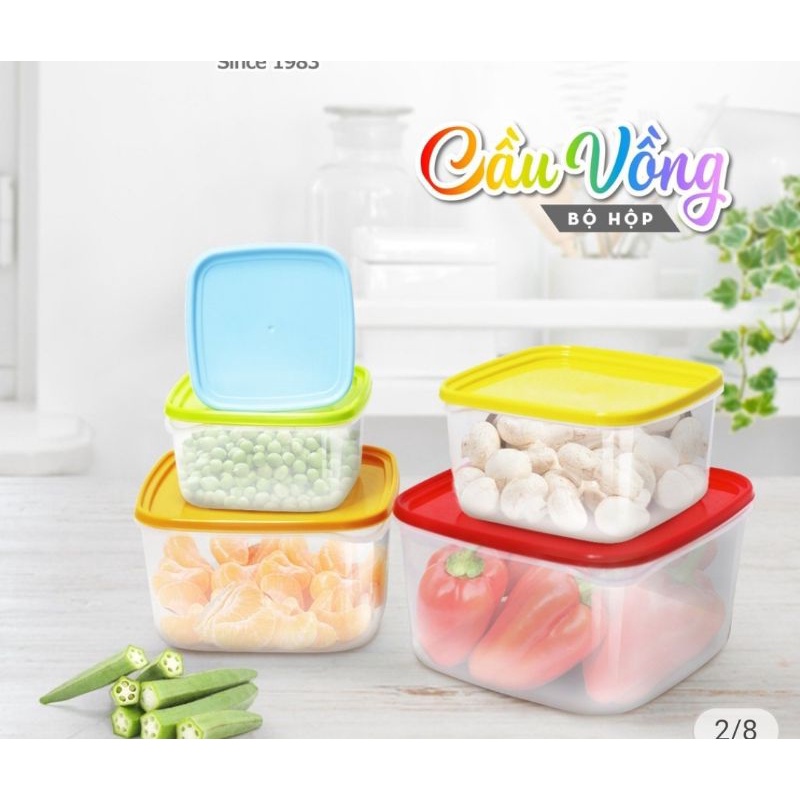 Bộ Hộp Nhựa Cao Cấp Cầu Vồng Gồm 5 Hộp Đại Đồng Tiến L1651