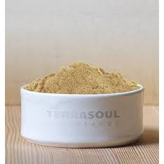 Bột Camu hữu cơ - Terrasouls - 99g