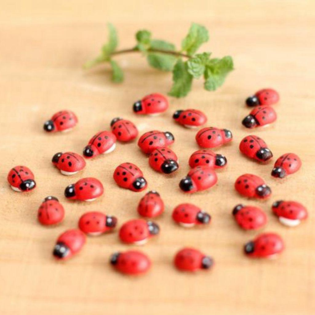 Set 20 Bọ Rùa Mini Dễ Thương Dùng Để Trang Trí Tiểu Cảnh