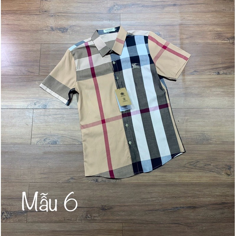 Áo sơ mi cộc kẻ bbr new hot💥 | BigBuy360 - bigbuy360.vn