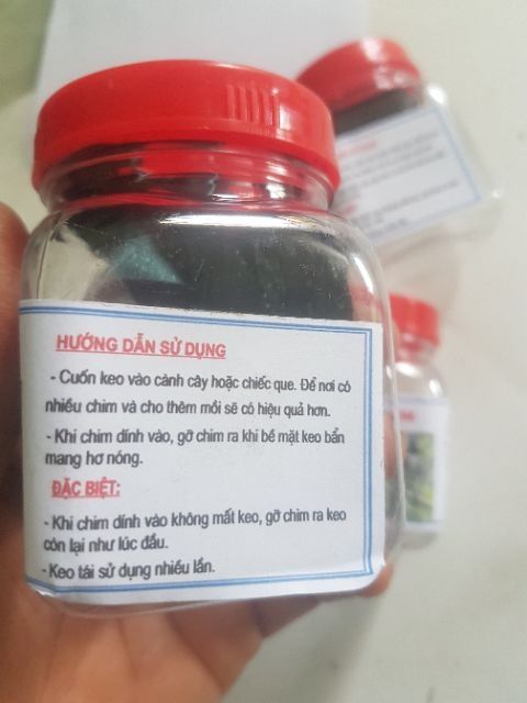 Keo bẫy chim khuyên, sẻ, chào mào