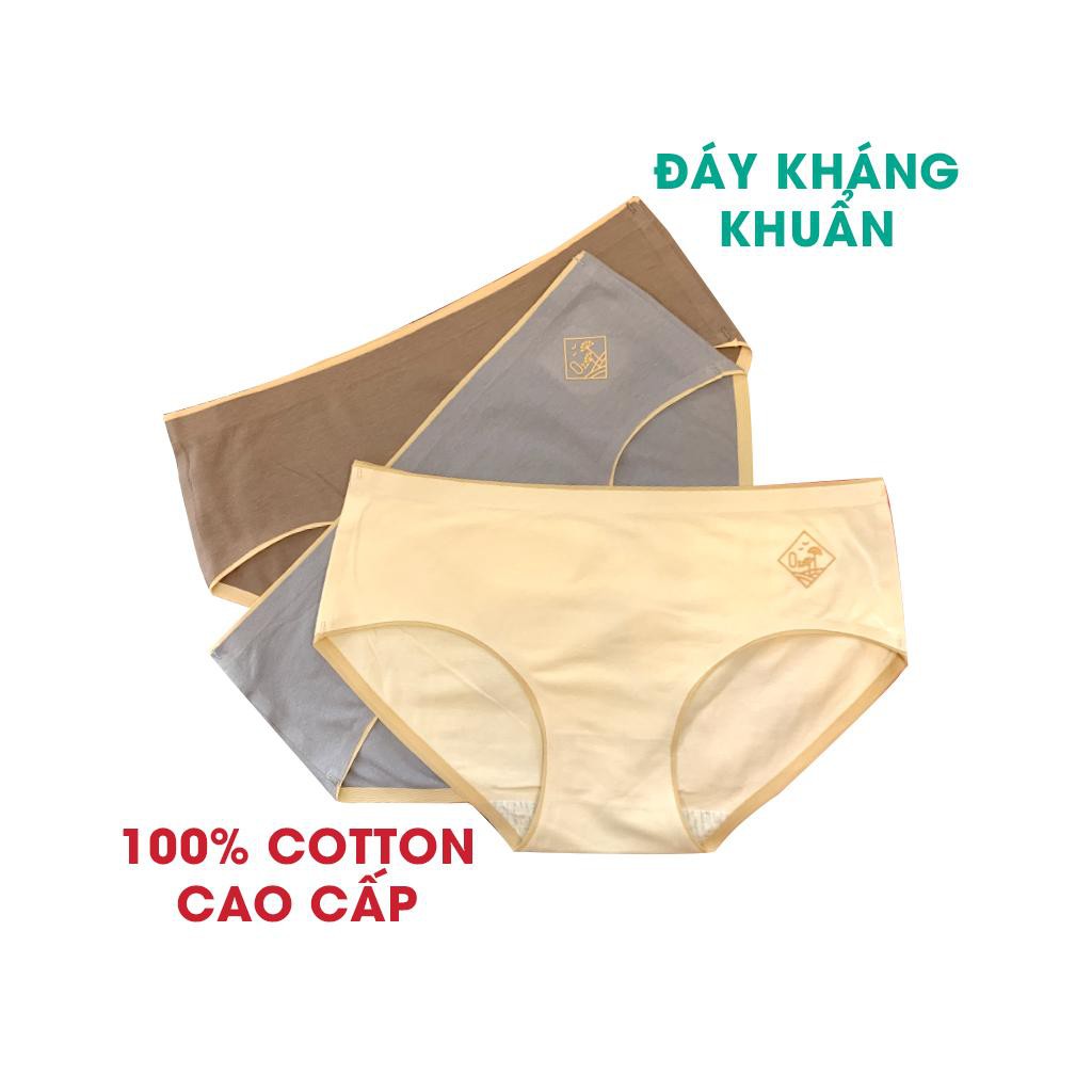 Quần Lót Nữ Q02 VNXK Mã O2 Cotton Y Tế Với Đáy Kháng Khuẩn Ép Không Đường May Mặc Thoải Mái Mặc Trong Váy Không Lằn | WebRaoVat - webraovat.net.vn