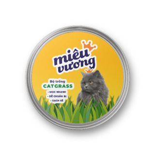 Bộ trồng cỏ mèo Miêu Vương Catgrass Kit