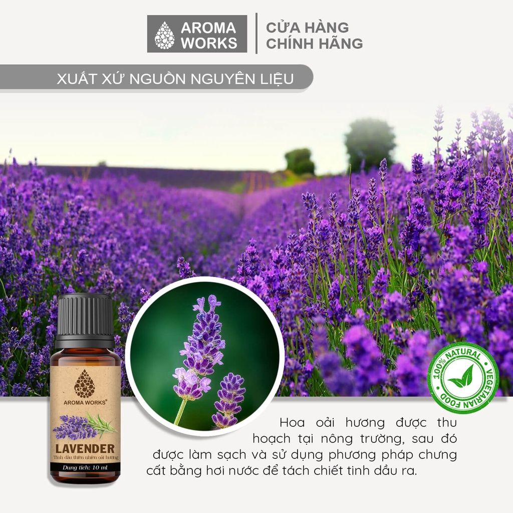 Tinh Dầu Hoa Oải Hương Nguyên Chất Aroma Works Essential Oils Lavender 10/100ml