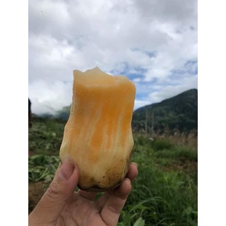 Combo 3 ký khoai sâm đất ăn sống (giao nhanh)