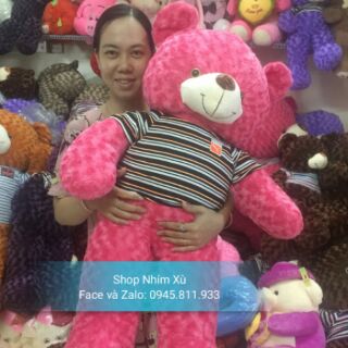 Gấu Teddy 1m2