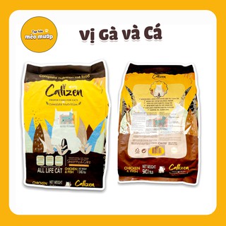 Hạt cho mèo Catizen 1kg