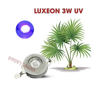 Bóng đèn led uv 3w luxeon
