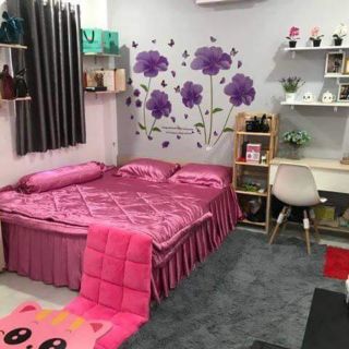 combo drap bèo nhúng + 1 mền chần bông + 2 áo gối nằm và 1 áo gối ôm