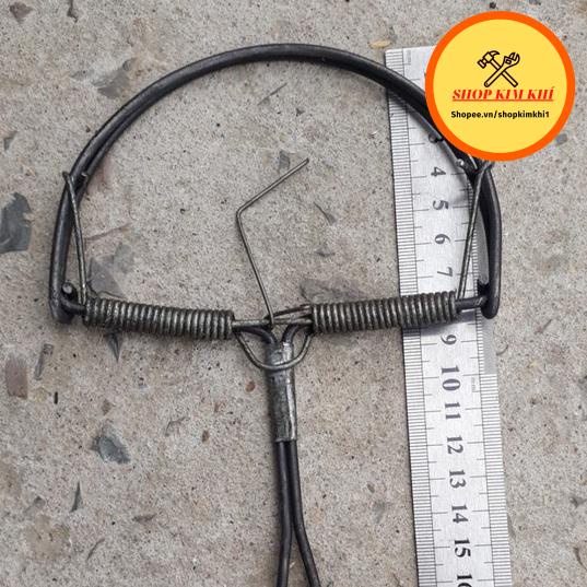 Bẫy đập chuột vòng cung bán nguyệt thông minh