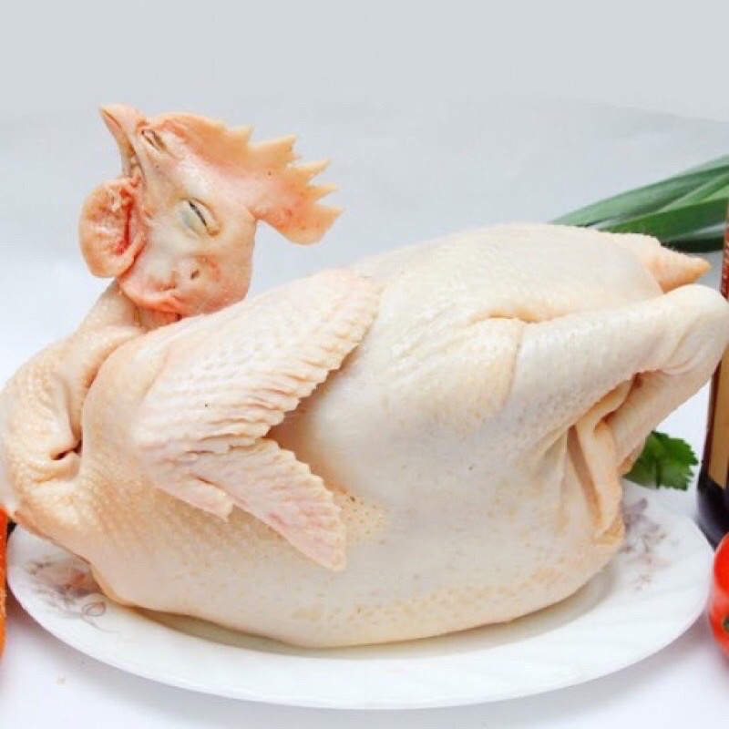 THỊT GÀ TƯƠI SỐNG LÀM SẴN GÀ CÔNG NGHIỆP