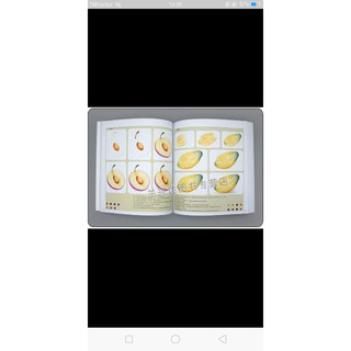 (Notebook)Sổ tay Tập tranh vẽ 1000 icon Chì màu