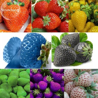 Hạt giống dâu tây mix