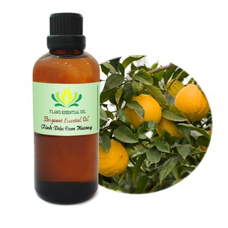 Tinh dầu Bưởi Chùm (cam hương) Bergamot - 100ml