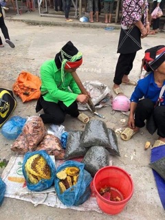 MẬT ONG BẠC HÀ CHUẨN RỪNG