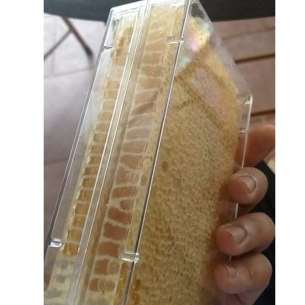 [HÓT HÓT]  MẬT ONG BÁNH TỔ (HÔP 500G) | BigBuy360 - bigbuy360.vn