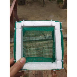 Lồng đẻ cá cảnh khay nhựa 7lít - Kích thước 12x12x10
