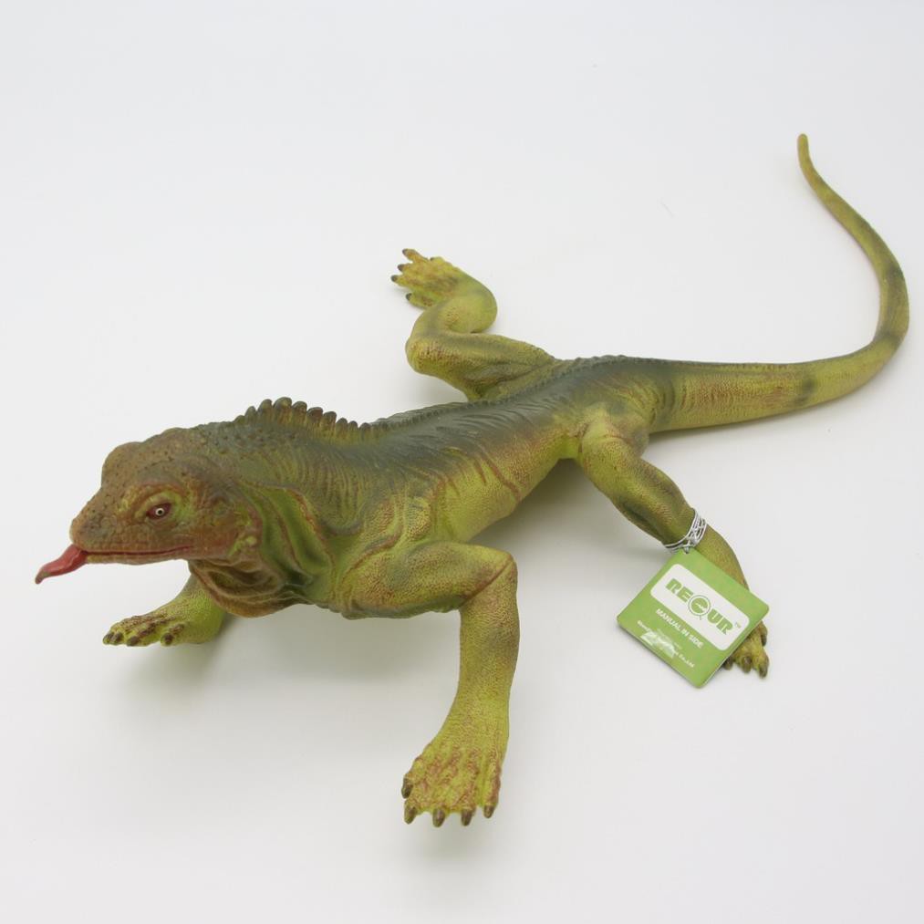 [Freeship 10k] Đồ chơi mô hình động vật cho bé Recur DW330 - hình thằn lằn Iguana - TOYS HOUSE Sản phẩm chính hãng