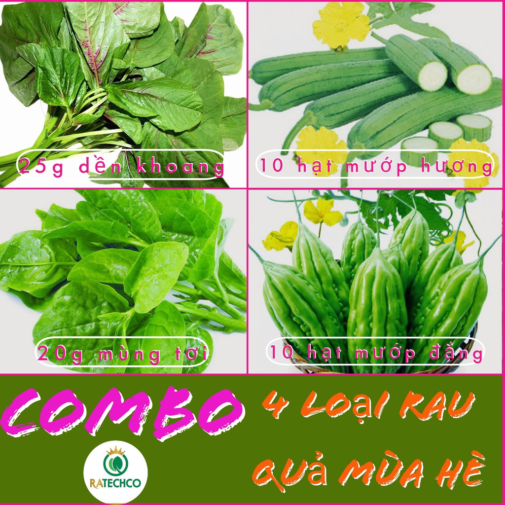 COMBO 4 loại hạt giống rau quả mùa hè: Dền khoang, mướp hương, mùng tơi, mướp đắng