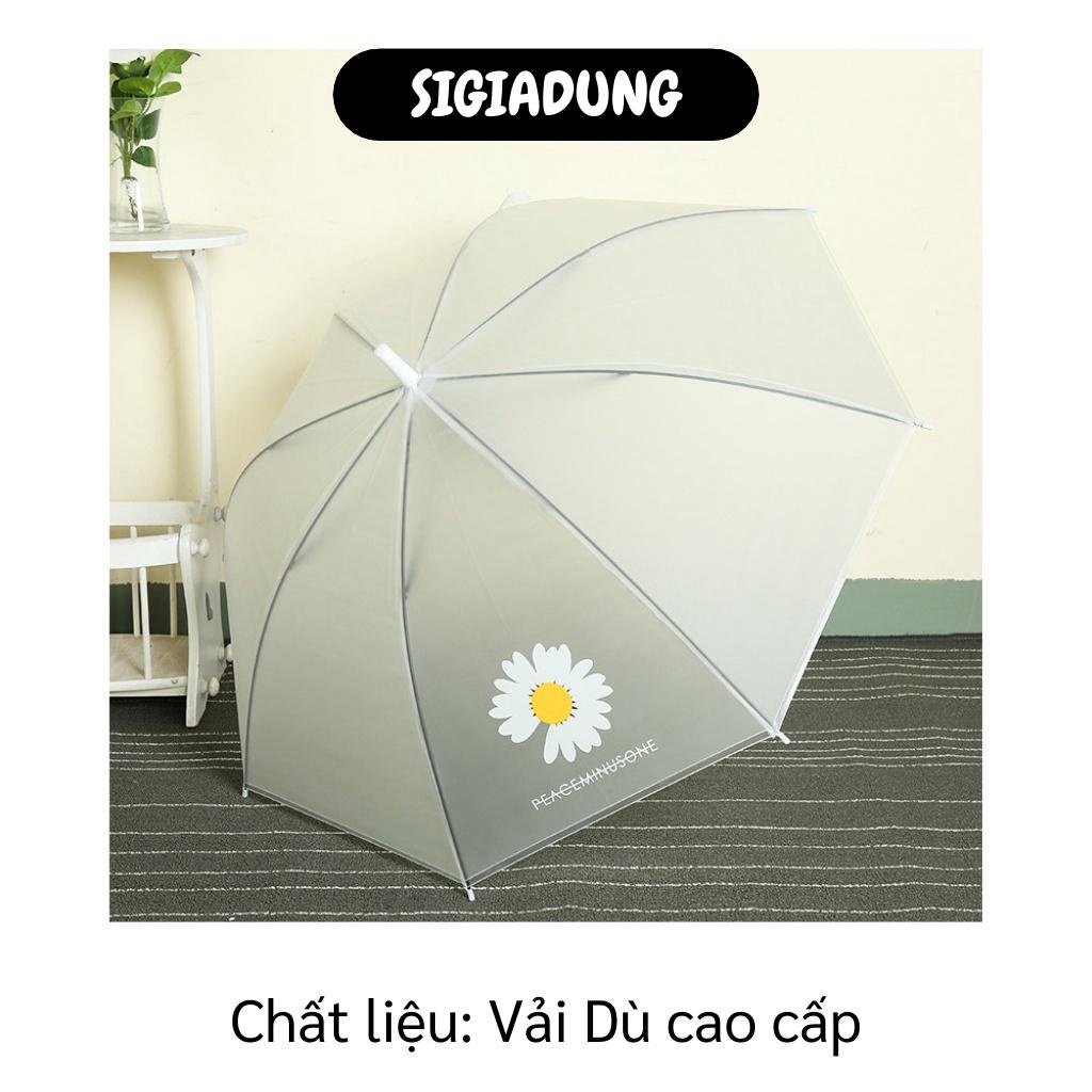 [SGD] Dù Đi Mưa - Dù Trong Suốt Hình Hoa Cúc Che Mưa Nắng, Phụ Kiện Chụp Ảnh 529