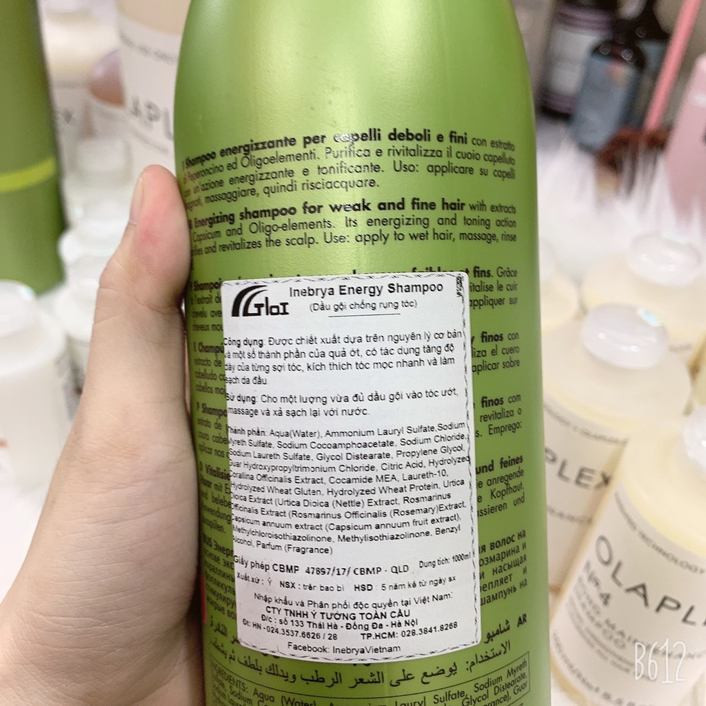 Dầu gội làm sạch gàu / chống rụng tóc Inebrya Ice-Cream Cleany Shampoo Italy 1000ml
