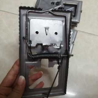 Gập bẫy chuột
