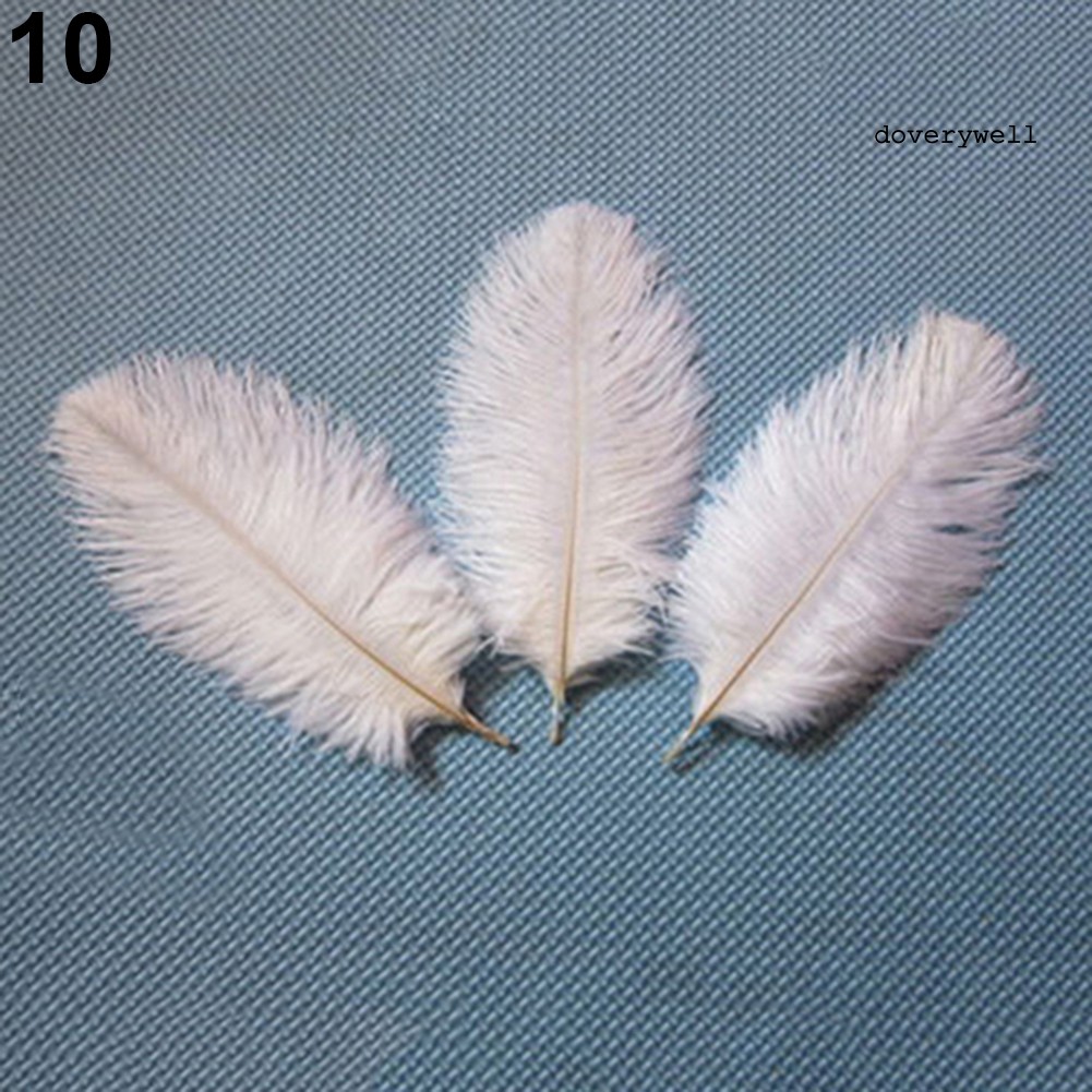 15 Lông Đà Điểu Tự Nhiên Nhiều Màu Cho Trang Trí