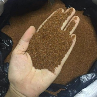 Ngũ hoa hạt gói 100gr