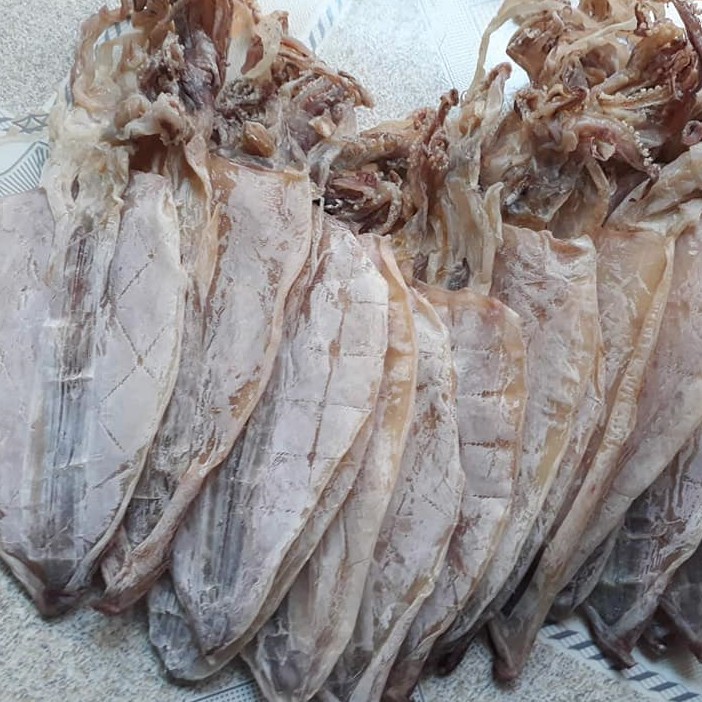 8 con mực câu như hình | BigBuy360 - bigbuy360.vn