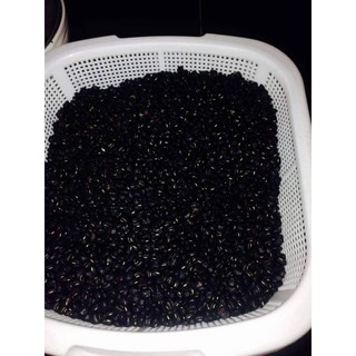 Đậu đen xanh lòng 1kg