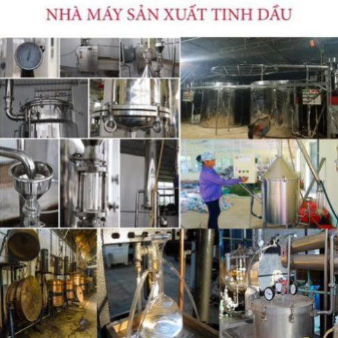 Sản phẩm Tinh dầu bạc hà nguyên chất chai 100ml giá tốt