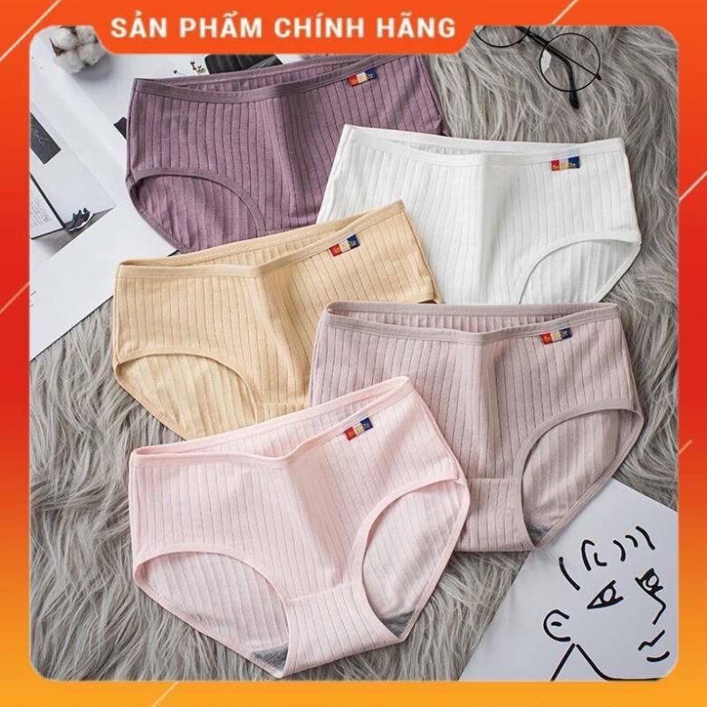 Quần Lót Cotton Pháp Sợi Tre Màng Kháng Khuẩn 225