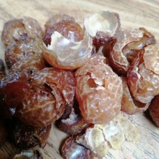 Bồ hòn vàng đã tách hạt