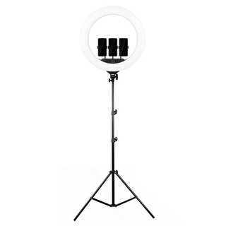 Đèn led livetream ZB-F488 55cm