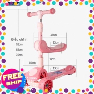 Xe trượt scooter bbt global 2 trong 1
