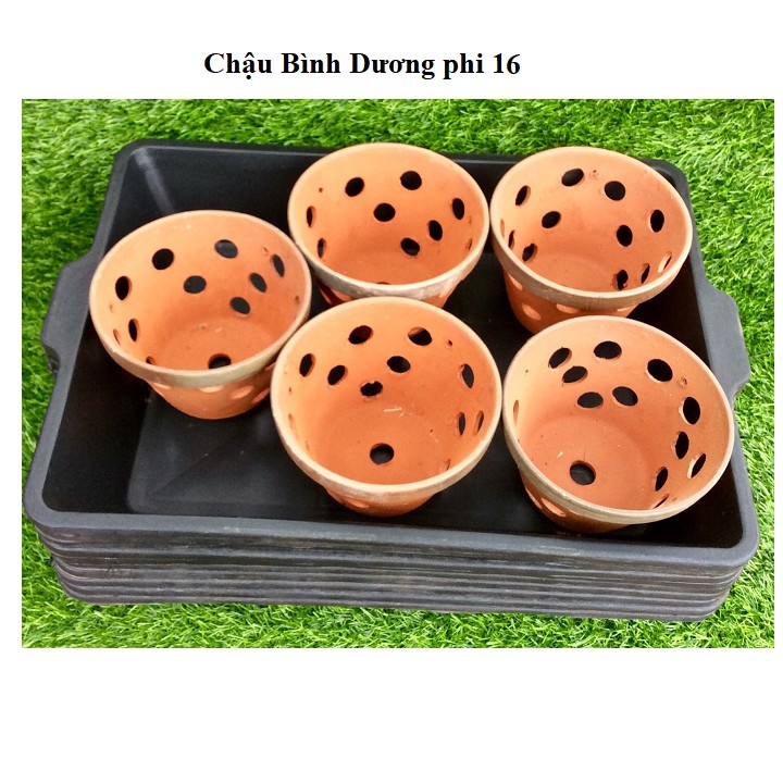 Set 5 khay đựng nước làm mát cho lan kích thước 50x38x8.5cm