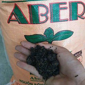 Đất sạch phù sa Aber