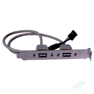 CS 2 Port Rear Panel Bracket Motherboard Cable USB 2.0 Connector Cable Adapter