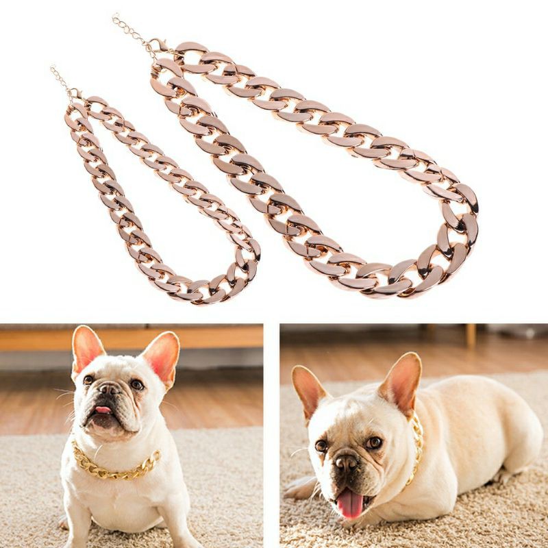 Vòng xích vàng cho chó mèo siêu ngầu