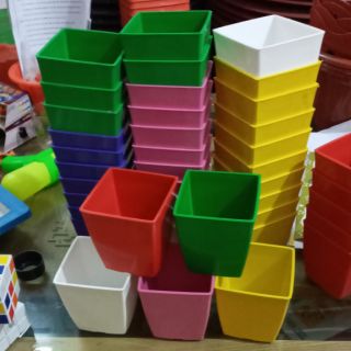 Chậu vuông 9cm đẹp
