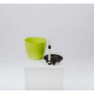 Chậu Cây Tự Tưới Nước Size 18,5x16cm