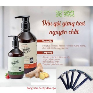 Dầu gội gừng Cò cây hoa lá tặng 5 cây dao cao râu
